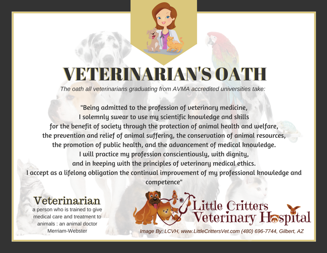 The veterinarian's Oath Little Critters Veterinary Hospital Gilbert